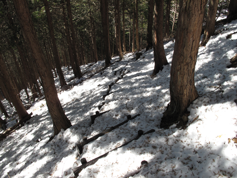 20180126hike (97)